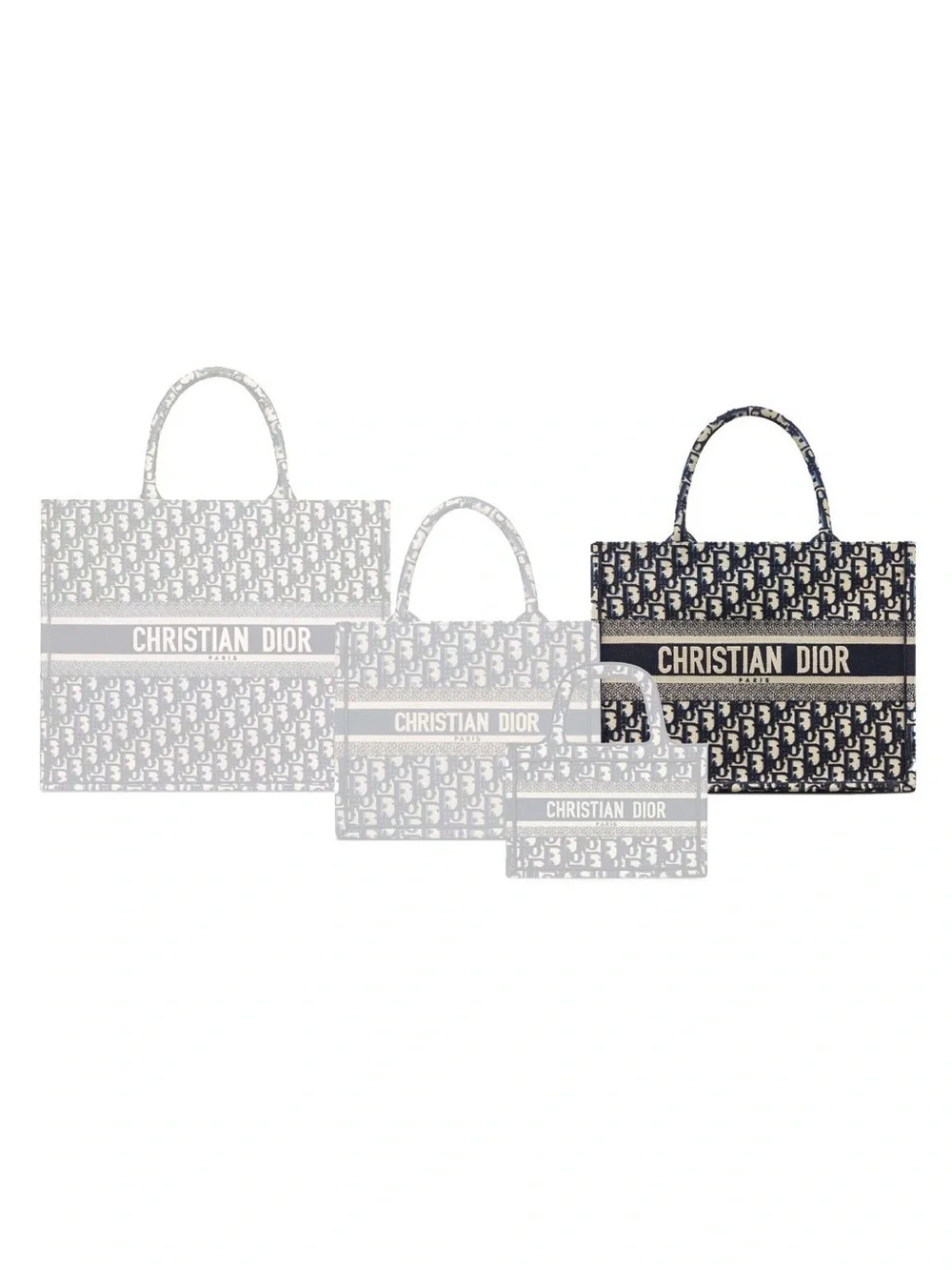 NEW Medium Dior Book Tote - Picture 5 of 5